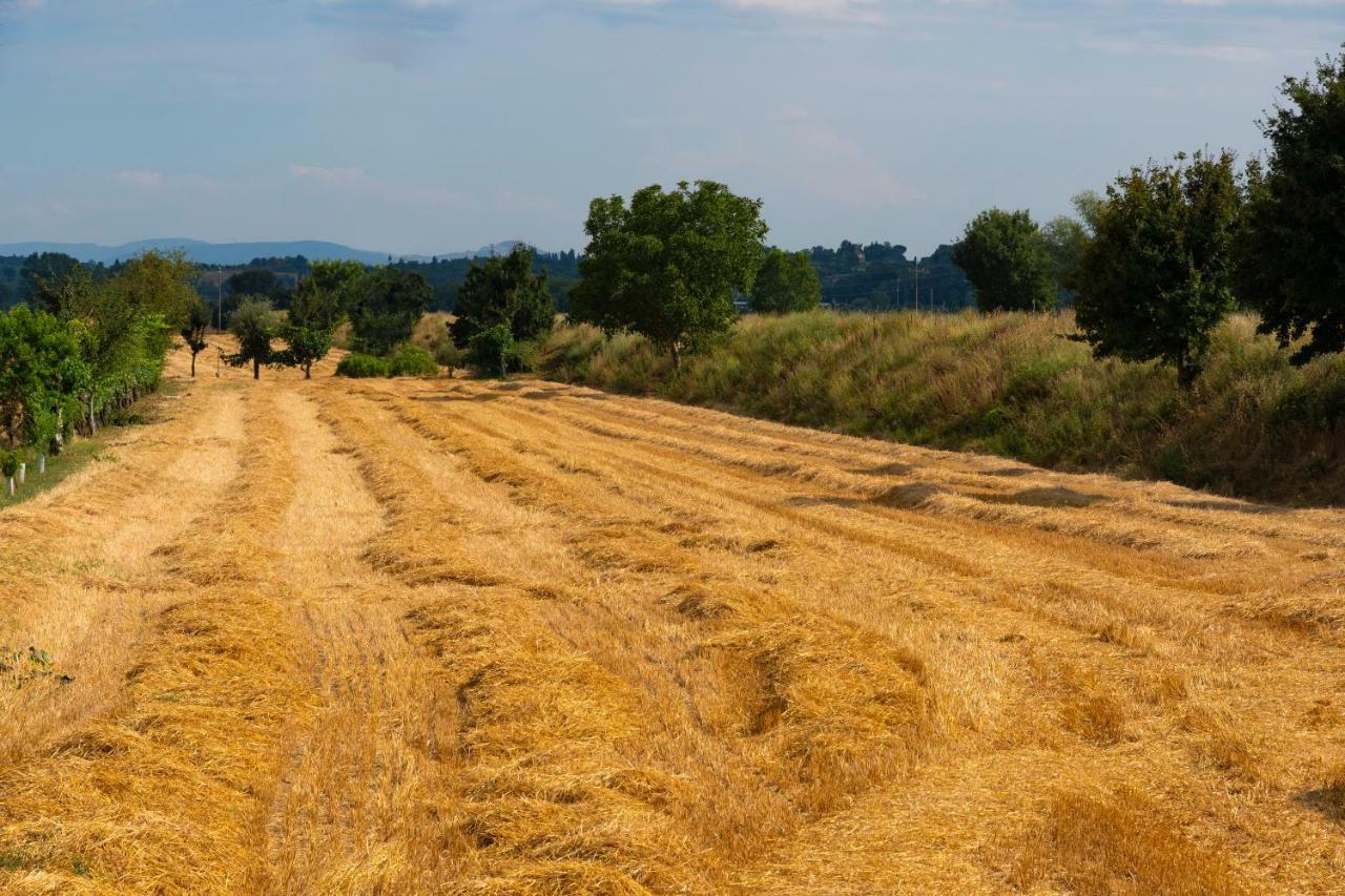Locazione Turistica Casa Vento Della Toscana Foiano Della Chiana Eksteriør bilde