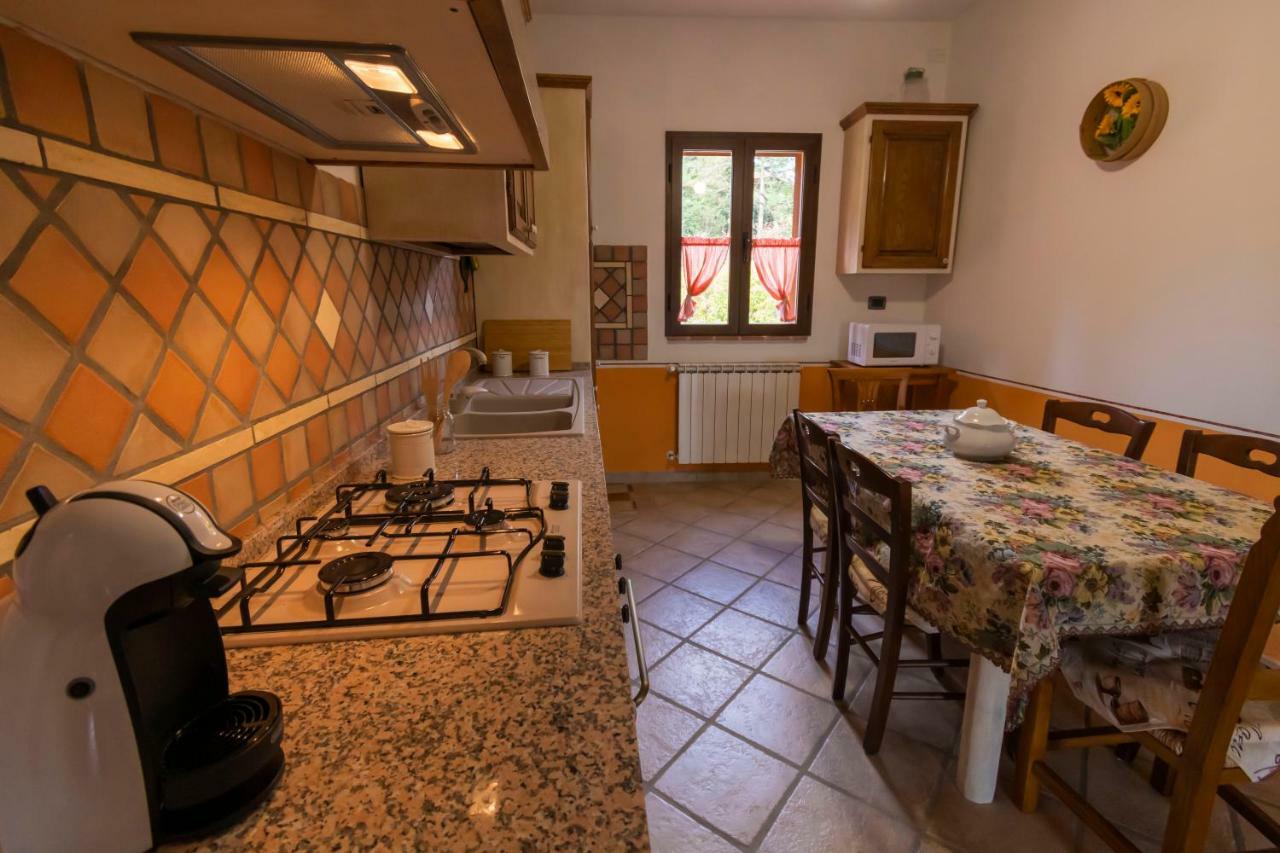 Locazione Turistica Casa Vento Della Toscana Foiano Della Chiana Eksteriør bilde
